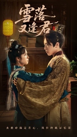 雪落又逢君(全集)
